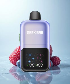 GEEK BAR 2GO 20ml 50000 Puffs Gelato di Frutti di Bosco con Schermo Interattivo e Livelli Regolabili