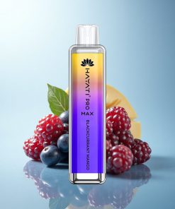 Hayati Pro Max 4000 Puffs Mango Ribes Nero Dual Coil Ricaricabile