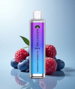 Hayati Pro Max 4000 Puffs Mirtillo Lampone Cristallo Ricaricabile 2ml