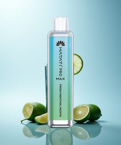 Hayati Pro Max 4000 Puffs Mojito Mentolato Fresco Dual Coil Ricaricabile