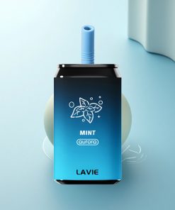 Lavie Aurora 11000 Puffs Aurora Leggera 22ML Tipo C 650mAh