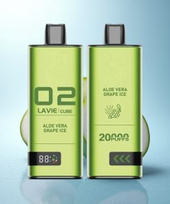Lavie Cube 20000 Puffs Gelso Aloe Vera Ghiaccio con 28ML e Tipo C