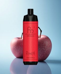 RandM Fumot Shisha 10000 Puffs Due Mele Indicatore LED