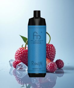 RandM Fumot Shisha 10000 Puffs Ghiaccio di Frutti con LED e 0,6ohm