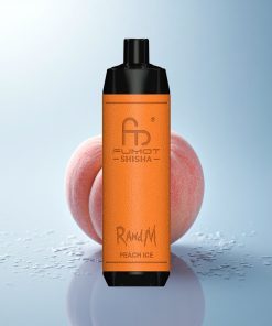 RandM Fumot Shisha 10000 Puffs Ghiaccio di Pesca LED 0.6ohm Tipo-C