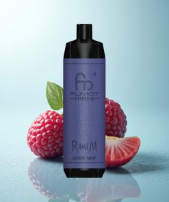 RandM Fumot Shisha 10000 Puffs Menta Bacca LED Mesh 0.6ohm