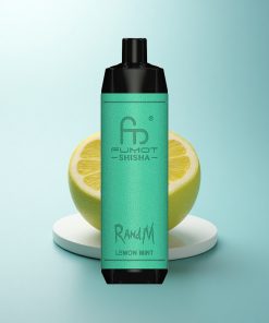 RandM Fumot Shisha 10000 Puffs Menta Limone con LED e 0.6ohm Mesh