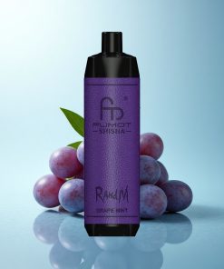 RandM Fumot Shisha 10000 Puffs Menta Uva LED Tipo-C 0.6ohm