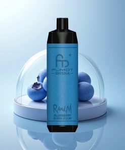 RandM Fumot Shisha 10000 Puffs Mirtillo Gomma da Masticare LED 18ml 0.6ohm