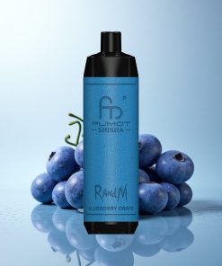 RandM Fumot Shisha 10000 Puffs Mirtillo Uva LED 0.6ohm Tipo-C