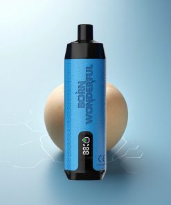 RandM Fumot Shisha 10000 Puffs Uomo Comodo 10000 Puff Tipo-C Mesh