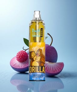 RandM Fumot Tornado 7000 Puffs Lampone Blu Mescolare 14ML Tipo-C