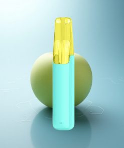 Snowplus Dash 4000 Puffs Uva Verde Ceramica 530mAh