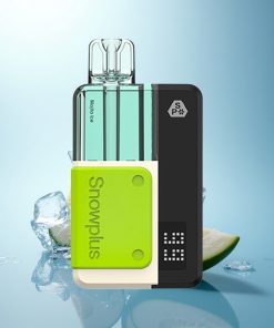 Snowplus Swift 5000 Puffs Gelato Ghiaccio Doppia Maglia 1000