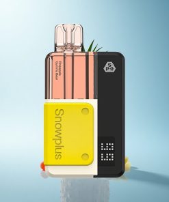 Snowplus Swift 5000 Puffs Orsetto Gommoso Ananas Dual Mesh 1000 mAh